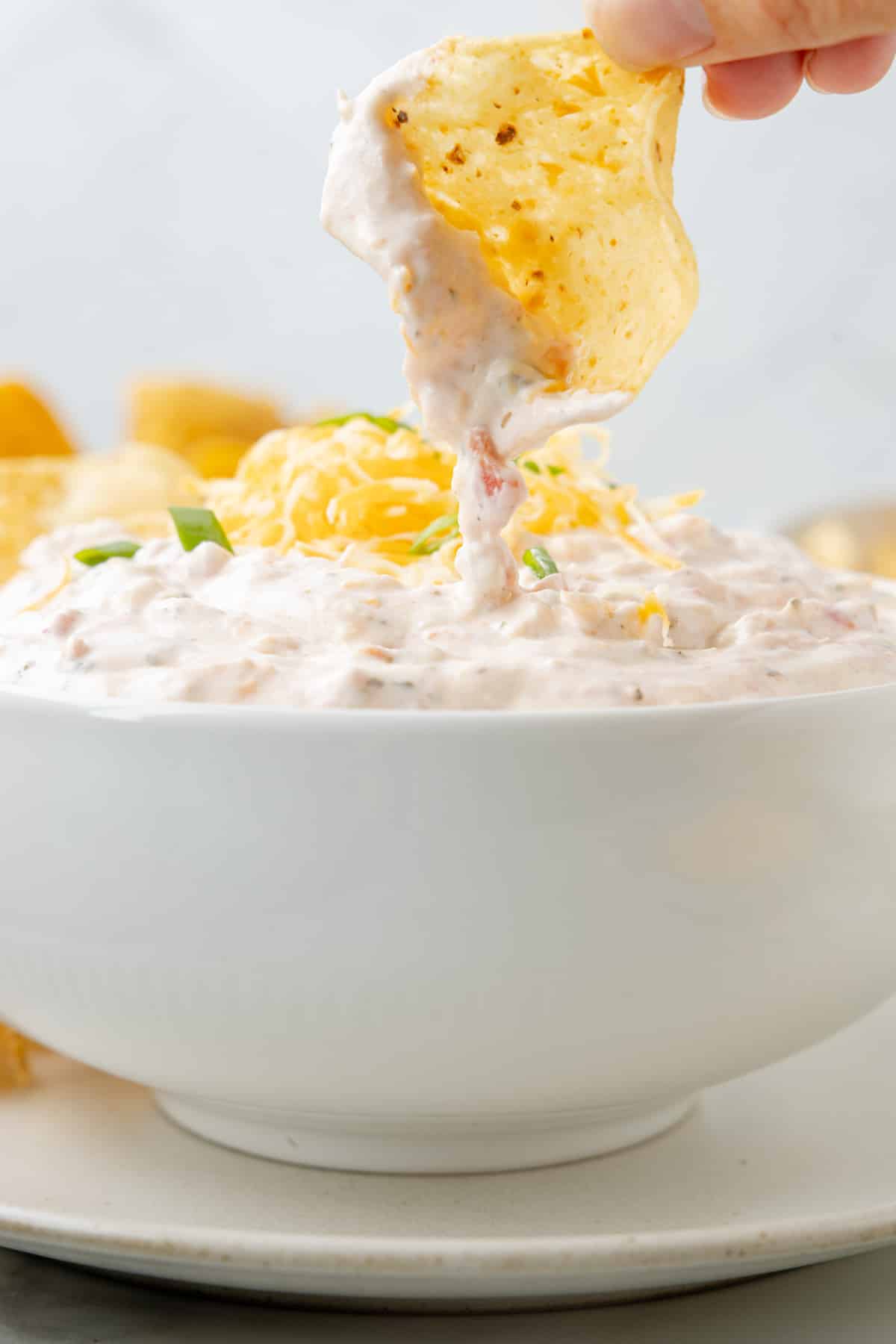 Boat Dip in a white bowl being dipped into with a scoop tortilla chip