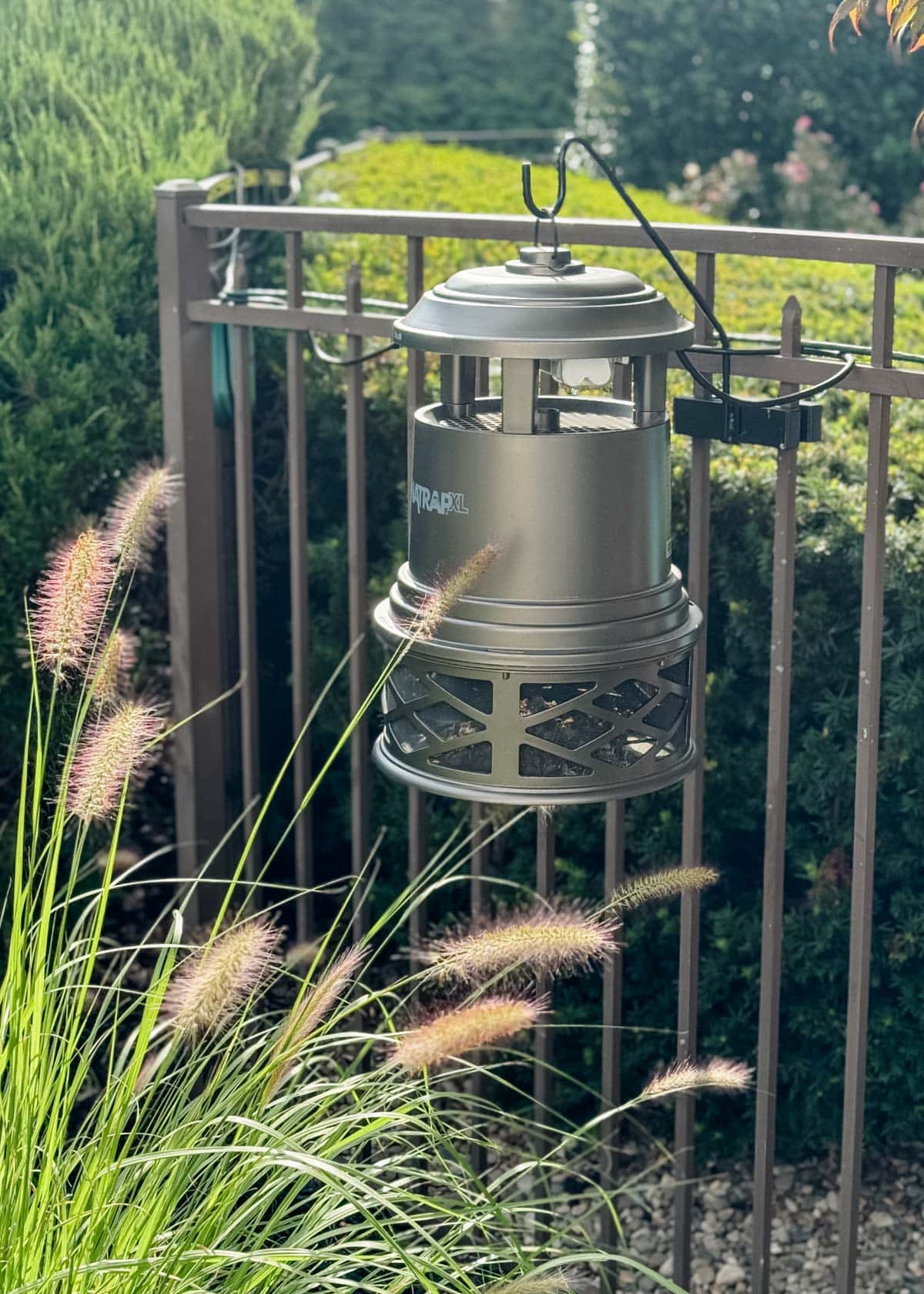 Dyna Trap mosquito trap hanging from a brown metal fence next to a tall ornamental grass