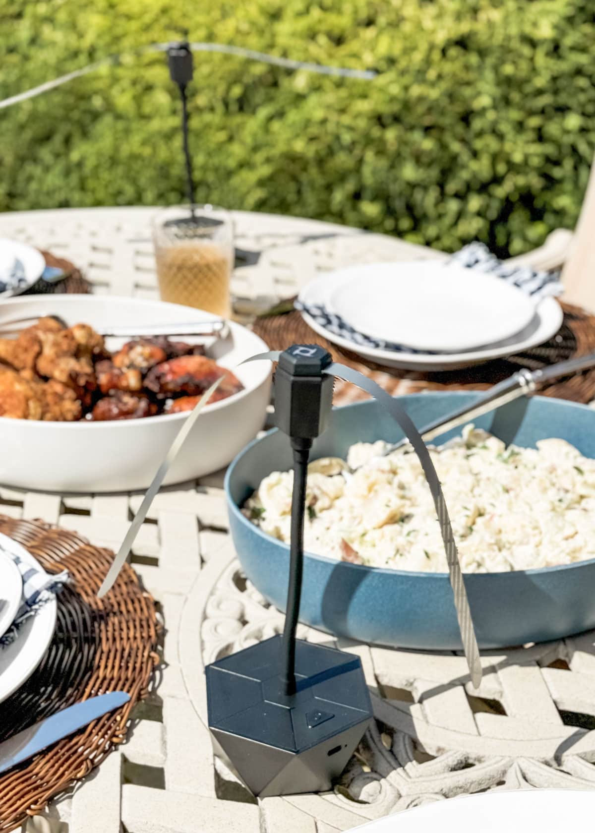 tabletop holographic fly fans on a set picnic table