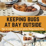 collage of 3 photos of a set picnic table with mesh food covers and fly fans. Text reads "Keeping Bugs At Bay Outside" "Tips for keeping your next picnic flying-insect free."