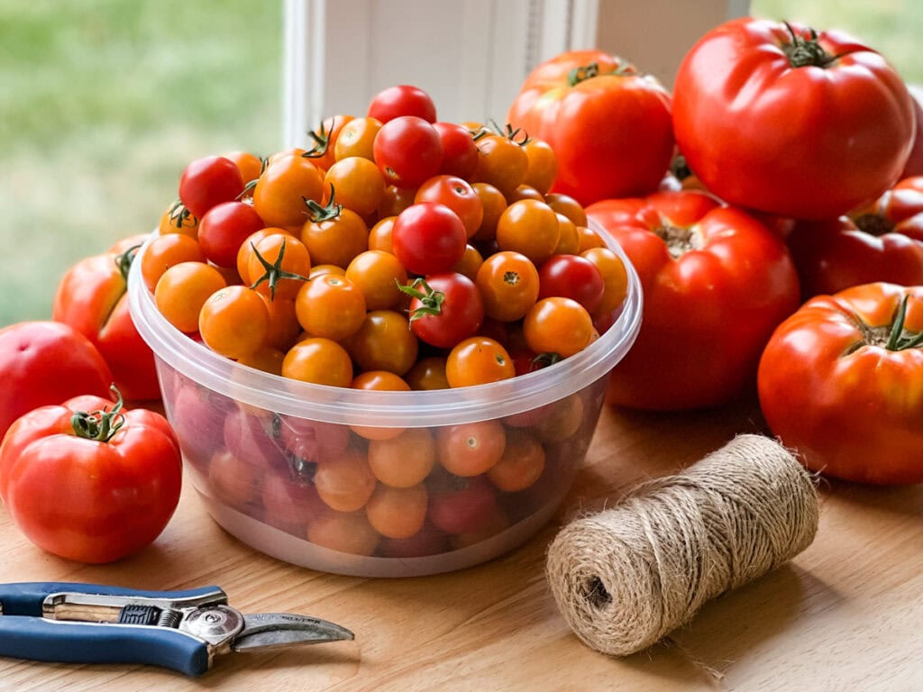 beefsteak and cherry tomatoes on a butcher block counter